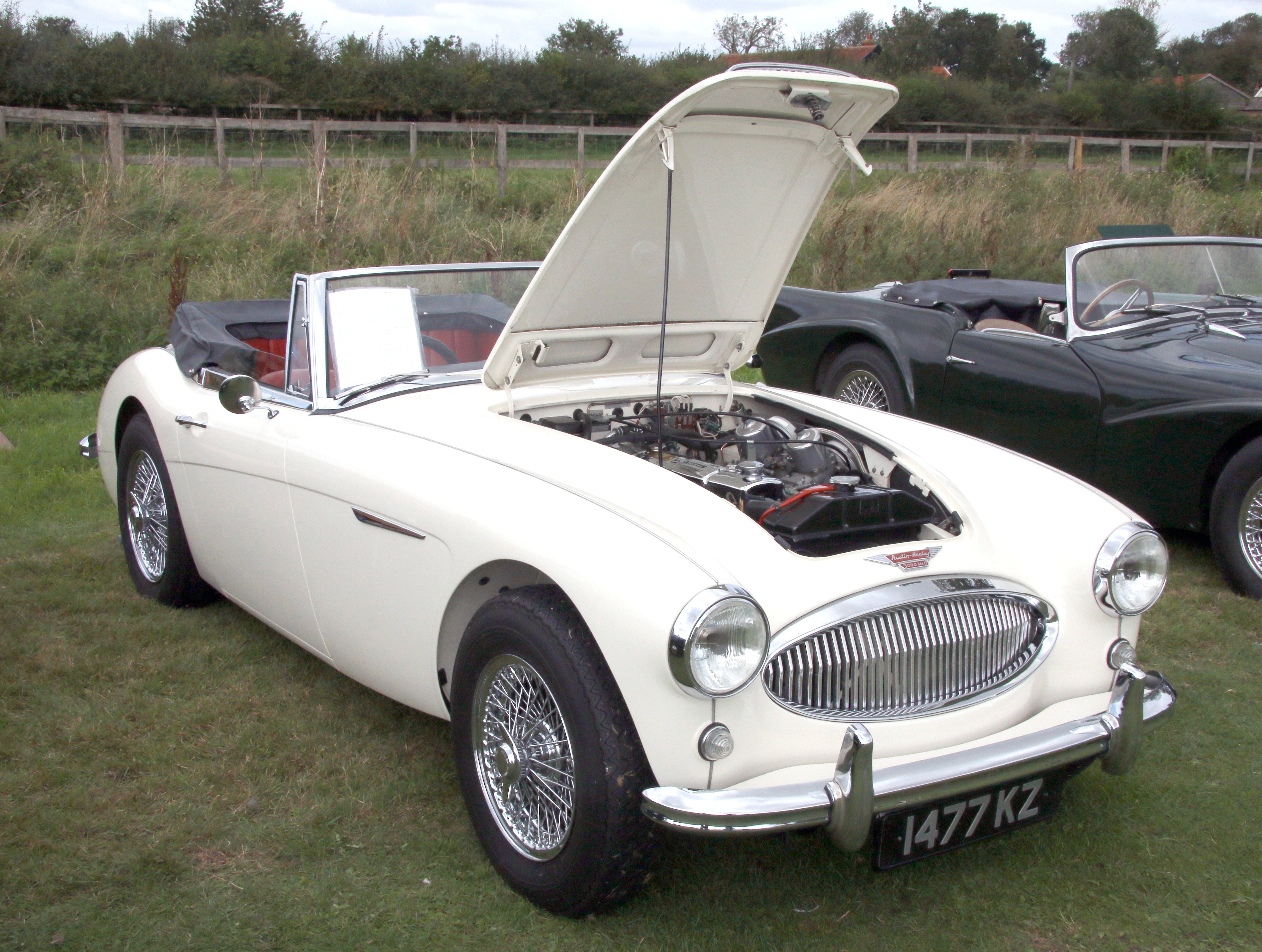 Austin Healey 100s Shelby