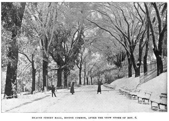 File:1894 Nov6 snow BostonCommon Bostonian v1 no1.png