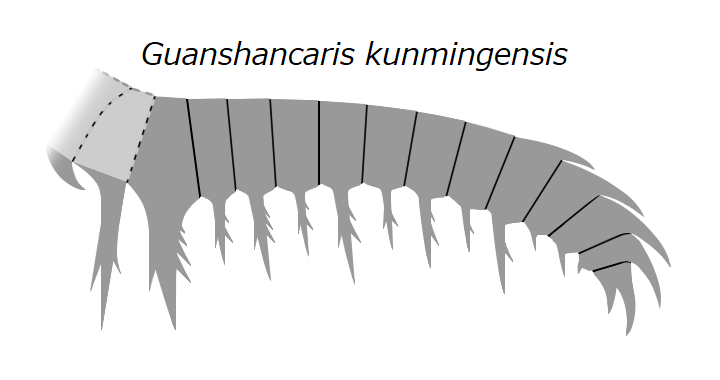 File:20210212 Radiodonta frontal appendage Guanshancaris kunmingensis.png