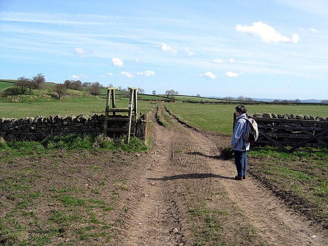 File:Bridleway, leading from Cowley Colliery - geograph.org.uk - 1244124.jpg