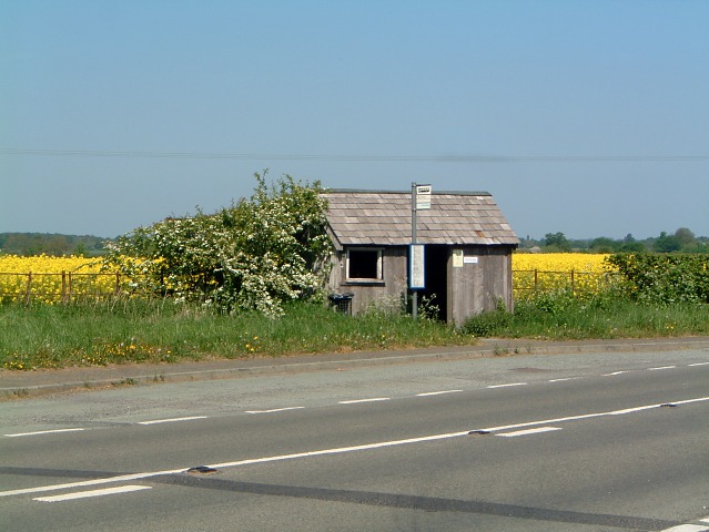 File:Bus Shelter near Halston - geograph.org.uk - 419749.jpg