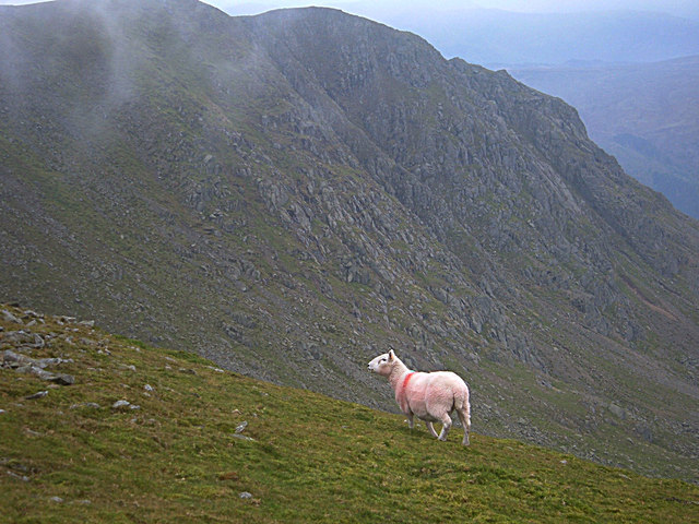 File:Descending Lower Man - geograph.org.uk - 588742.jpg