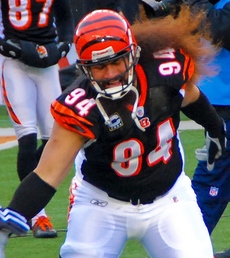 Domata Peko - Wikipedia