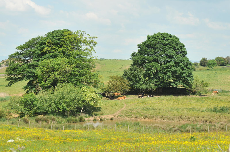 File:Farmland near Green Hill House - geograph.org.uk - 1923503.jpg