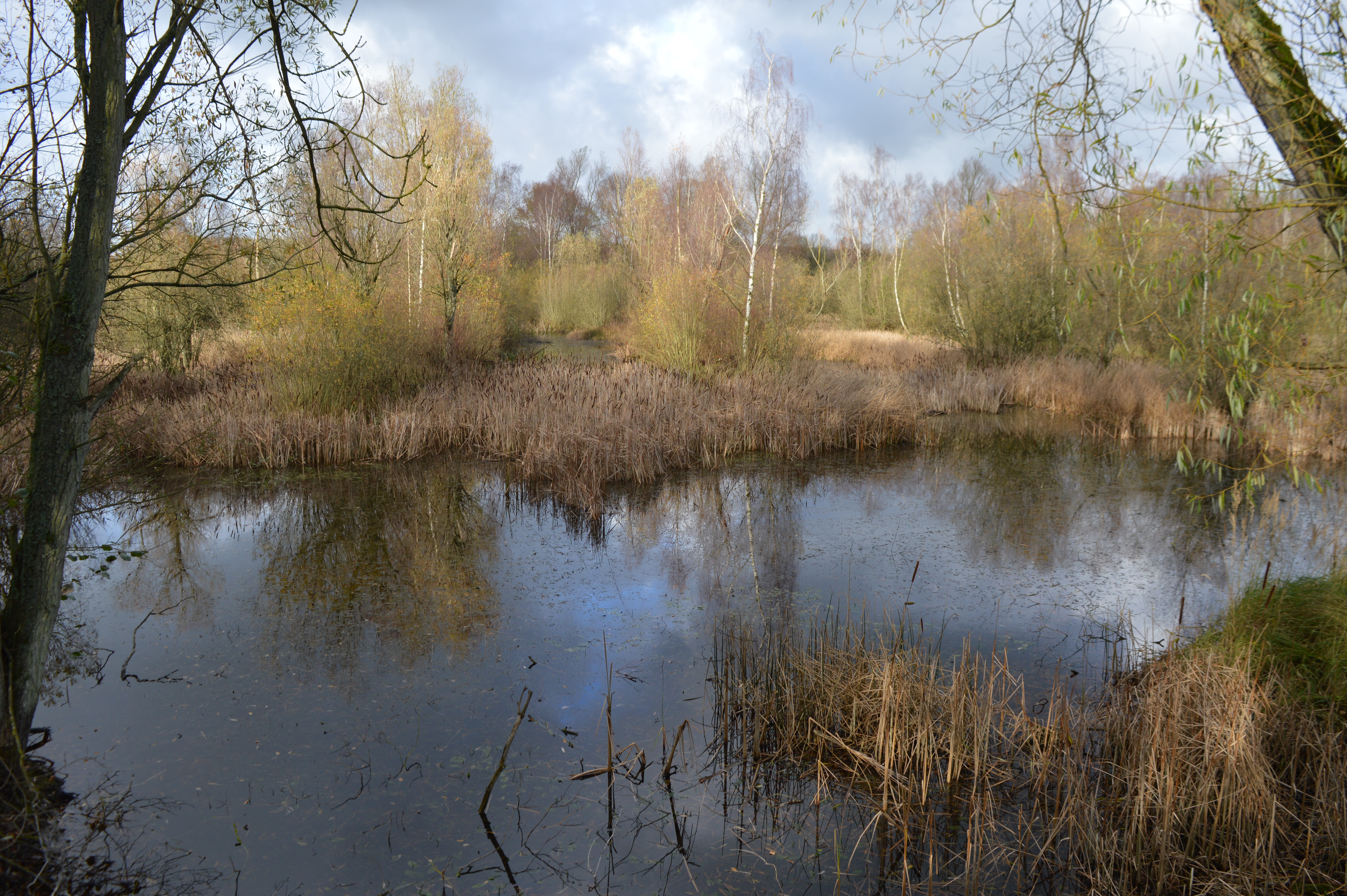 Felmersham Gravel Pits