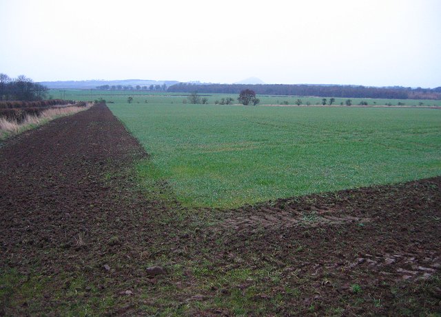 File:Field margins - geograph.org.uk - 140704.jpg