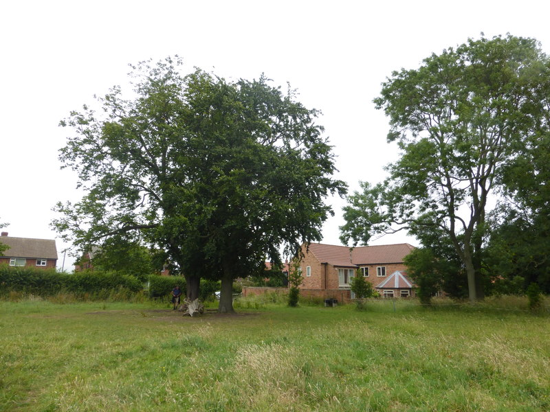 File:Field with large trees - geograph.org.uk - 4575461.jpg