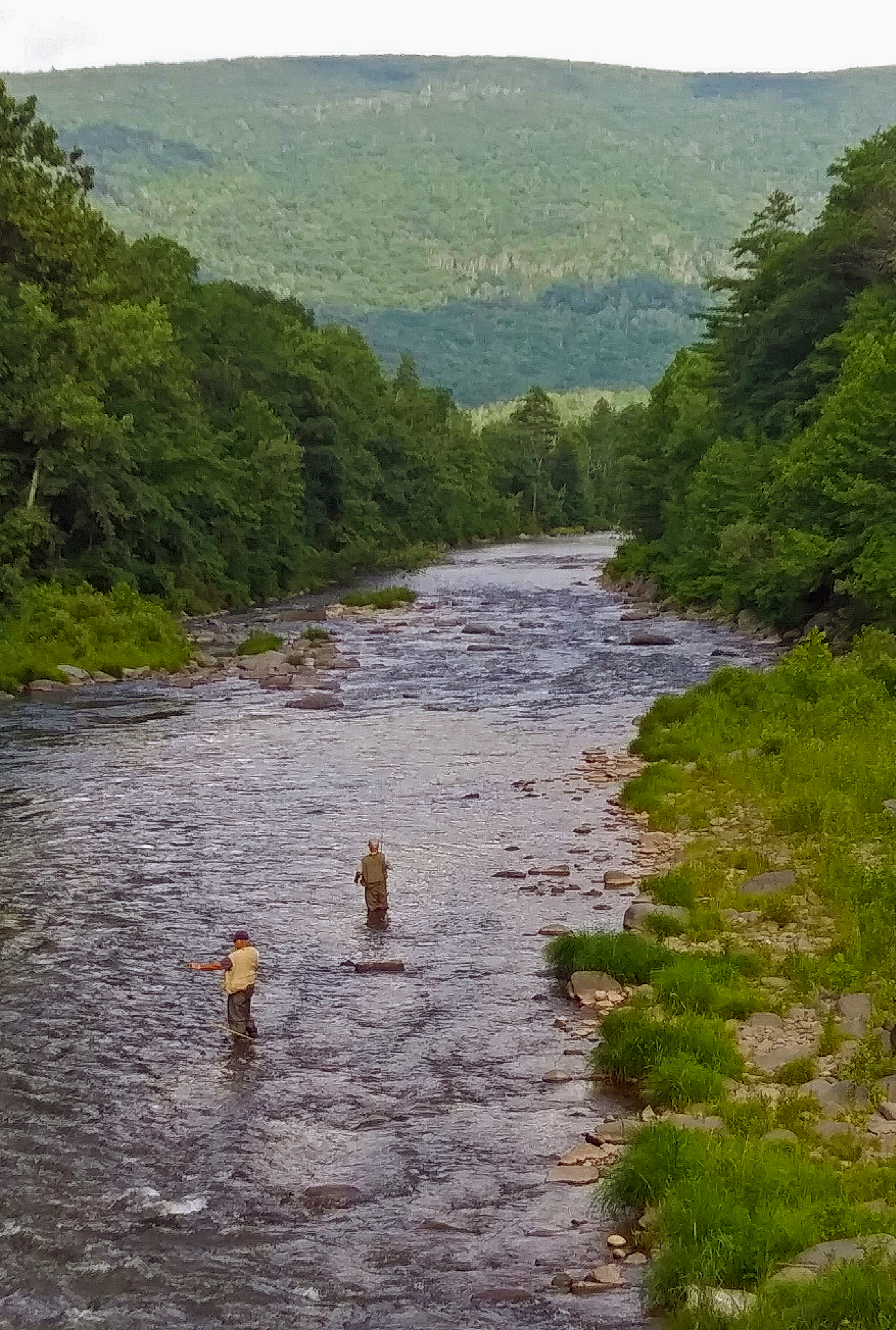 Esopus Creek - Wikipedia