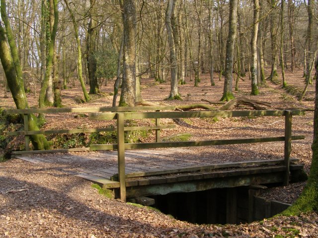 Footbridge over Latchmore Brook, Studley Wood, New Forest - geograph.org.uk - 386668