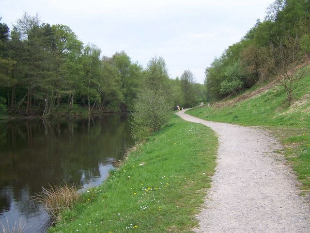 Footpath Through Cannock Chase Country Park - geograph.org.uk - 794820