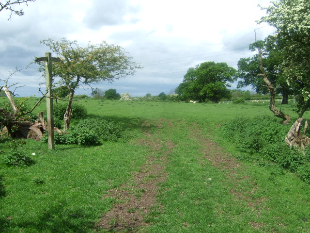 File:Footpath and grassland - geograph.org.uk - 442154.jpg