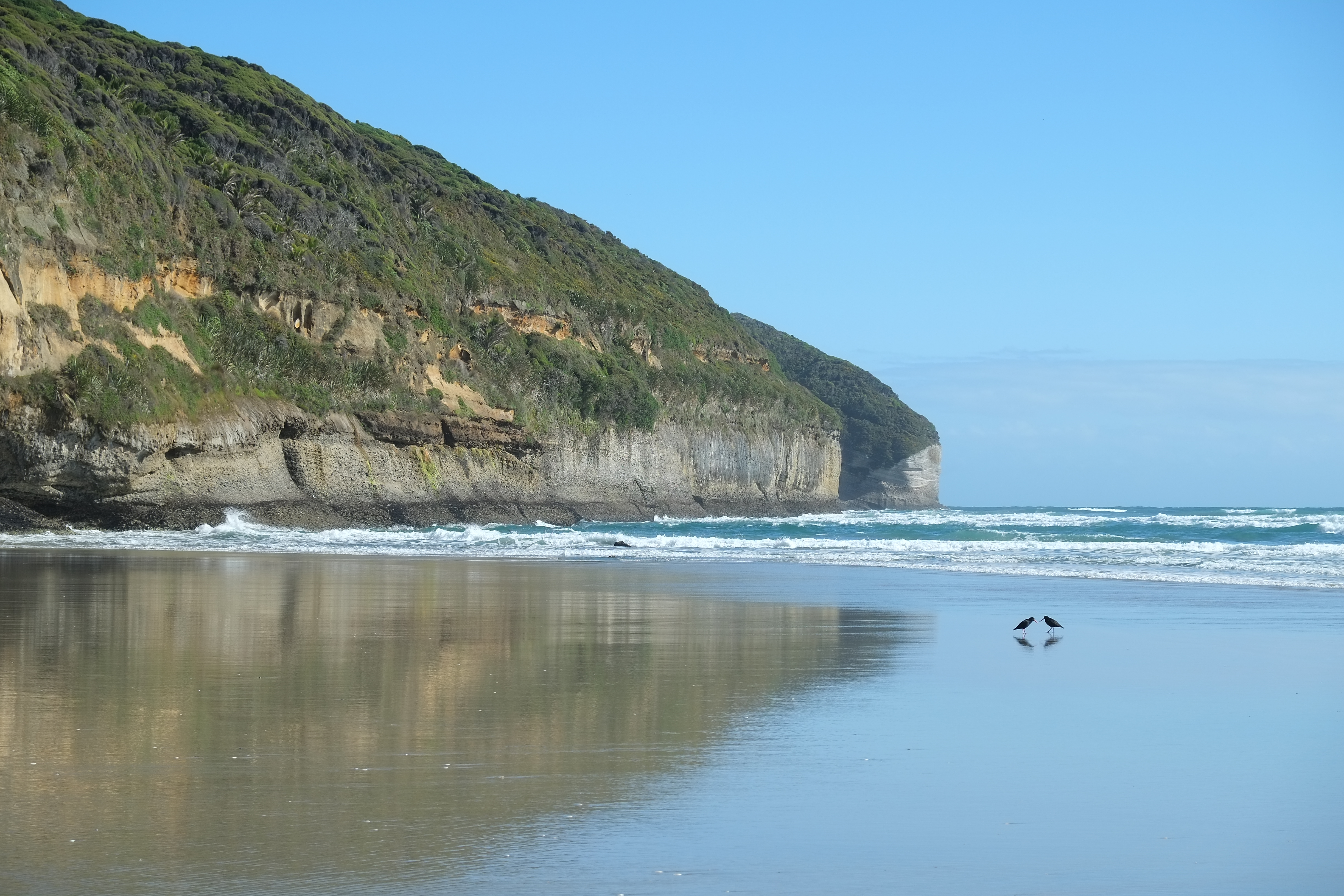 File:Fossil Point and beach at western end of Farewell  - Wikimedia  Commons