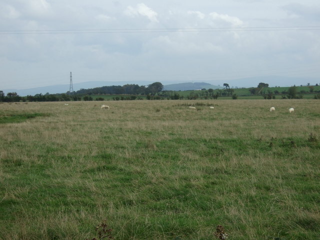 File:Grazing near Arnold House - geograph.org.uk - 4694949.jpg