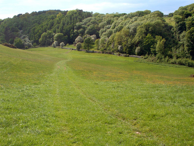 File:Hillside track north of Candleston castle - geograph.org.uk - 810341.jpg