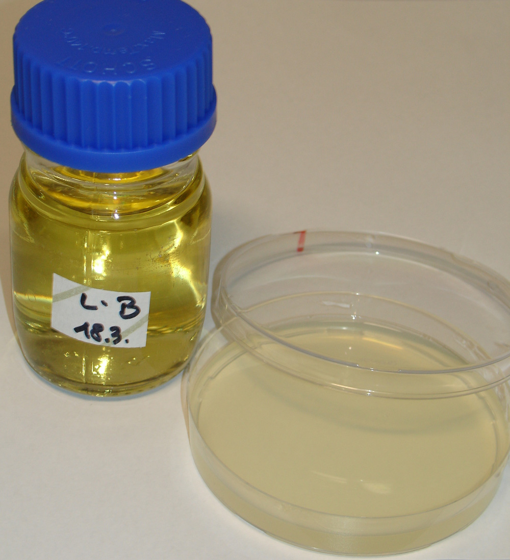 a) Microbial culture in Luria broth medium. (b) Subculture in solid