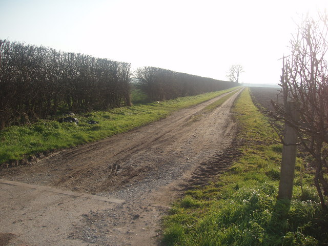 File:Lane near Sheep Dip - geograph.org.uk - 378906.jpg