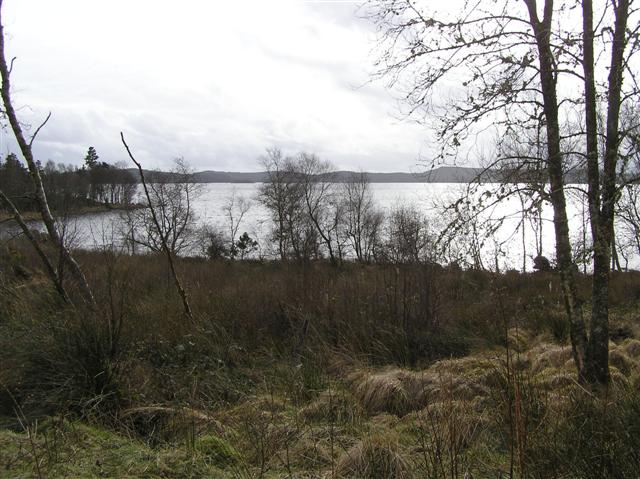 File:Lough Derg, Tievetooey - geograph.org.uk - 699867.jpg