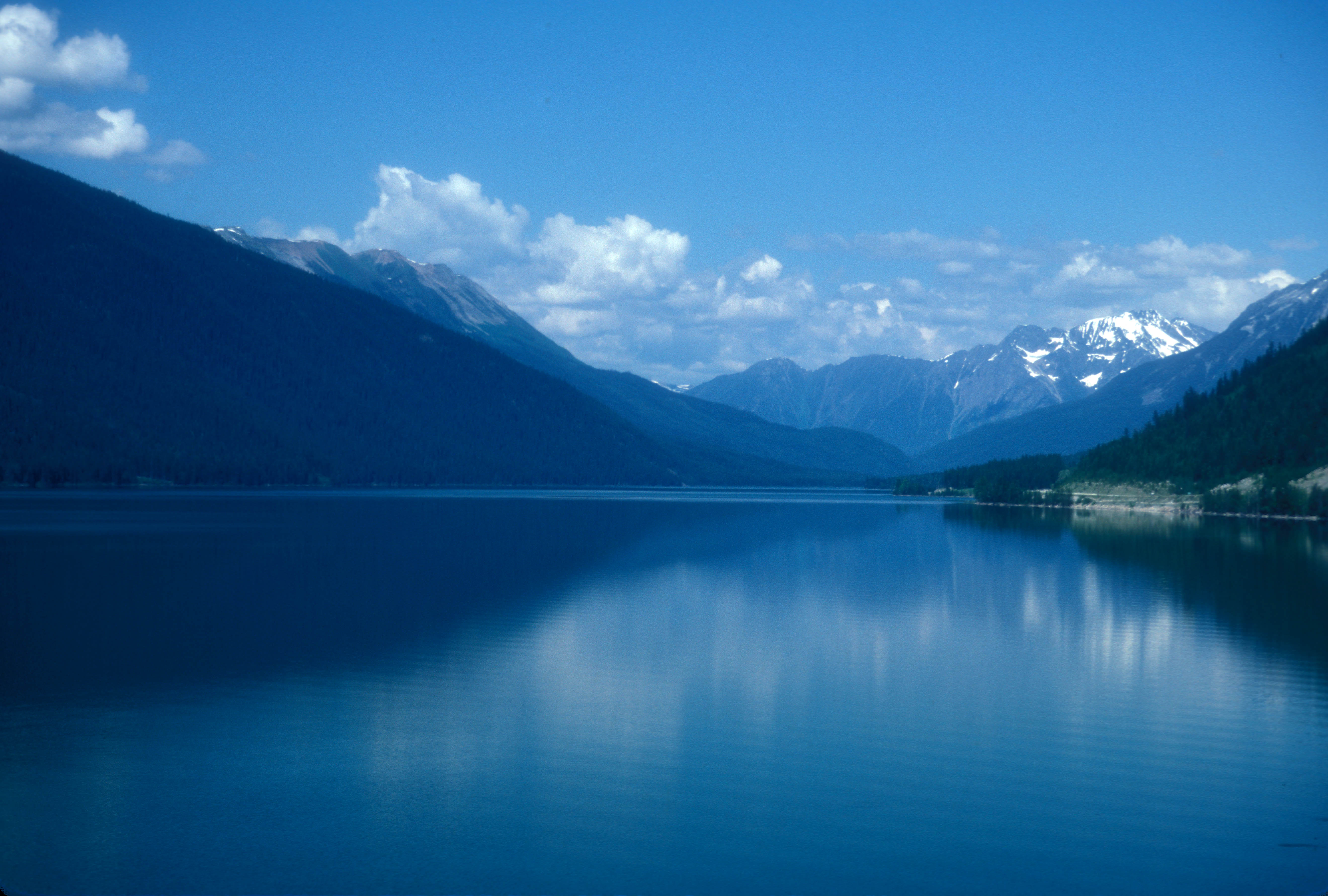 British lakes. Озеро Колумбия. Колумбийские озера. Лось у озера.