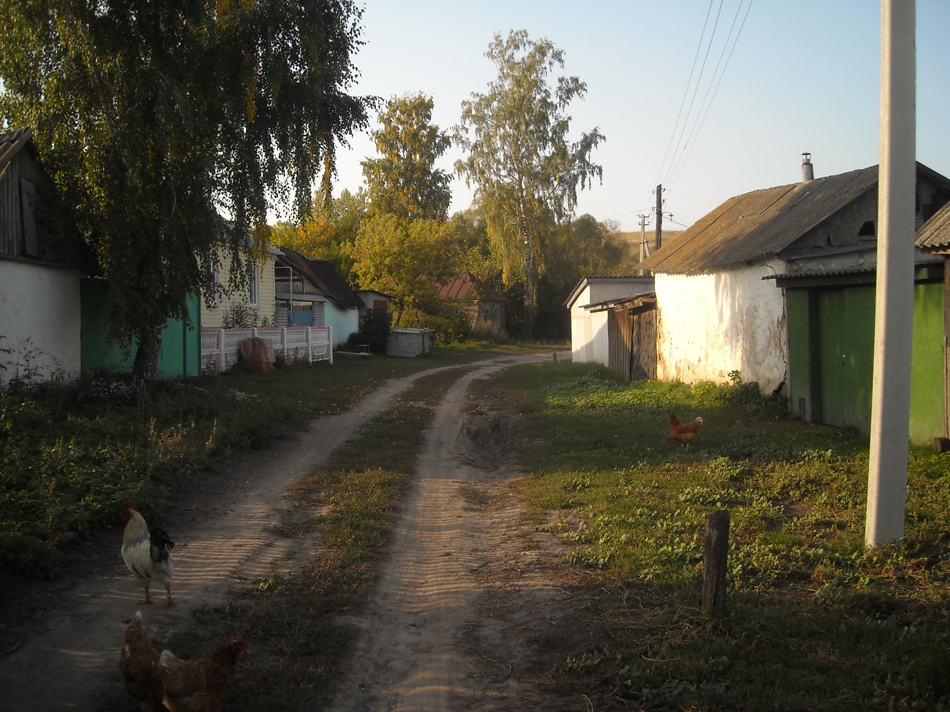 Погода село курское. Деревня Золотухино Курской области. Мешково (Курская область). Курская область села и деревни. Деревня Мешково Курская область.