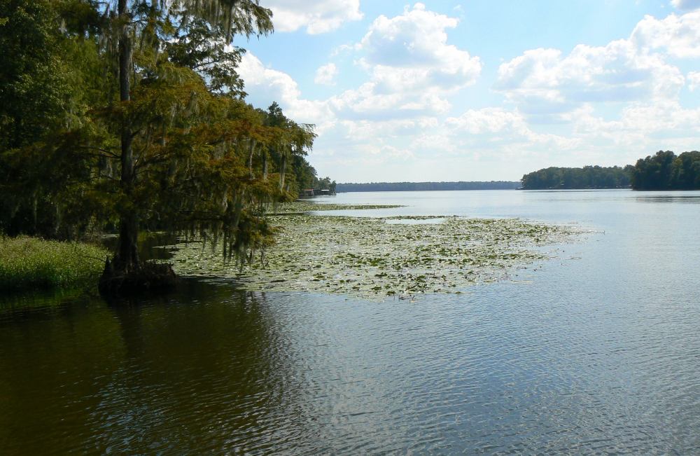 Photo of Lake Talquin