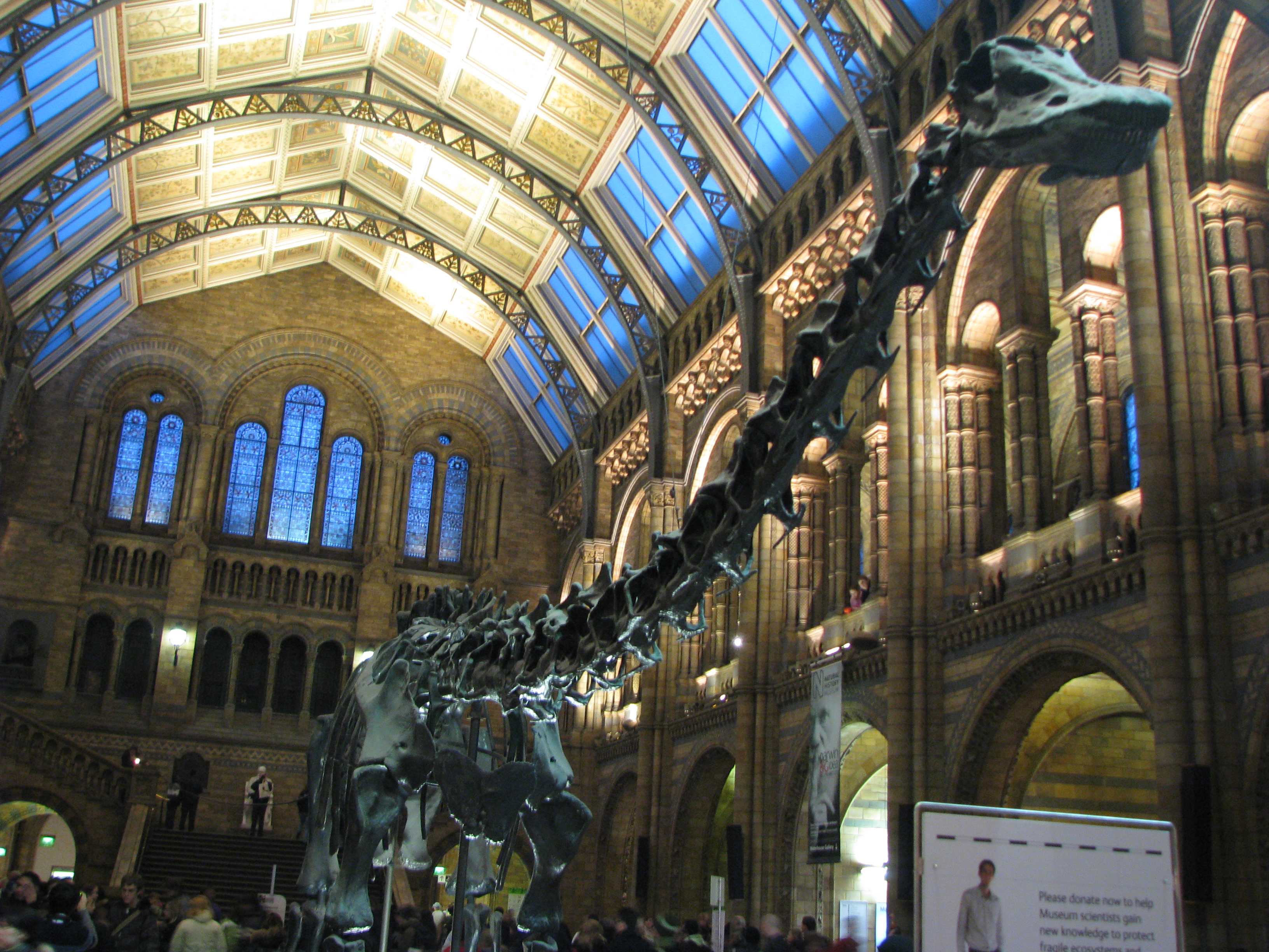 To be the history museum. Музей естественной истории Мадрид. Музей естествознания Лондон. Natural History Museum London. Музей естествознания Лондон красная зона.