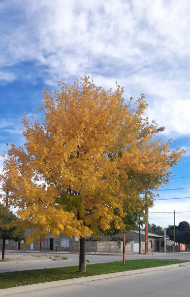 Cuándo empieza el otoño de 2023?