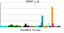 Serum amyloid A1