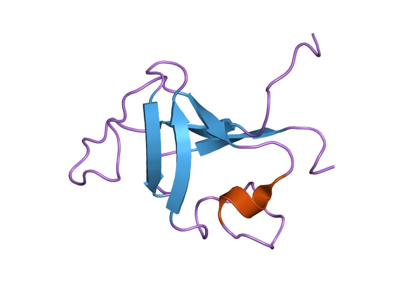 File:PDB 1pnj EBI.jpg