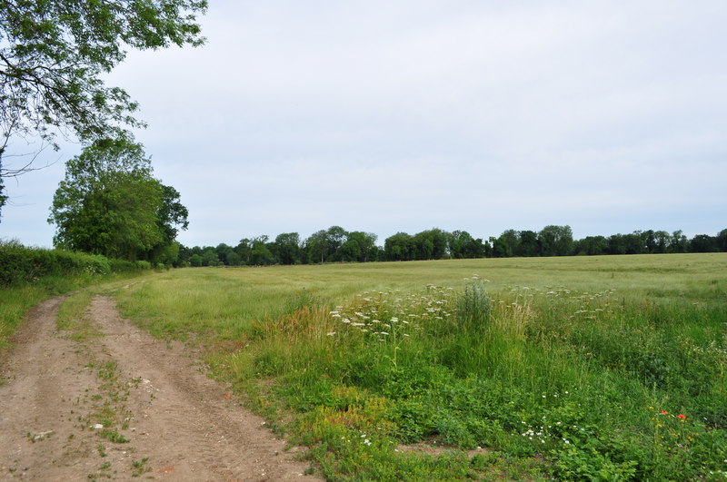 File:Peddars Way near Merton - geograph.org.uk - 1954395.jpg