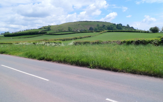 Pen-y-crug viewed from Cradoc - geograph.org.uk - 2980949