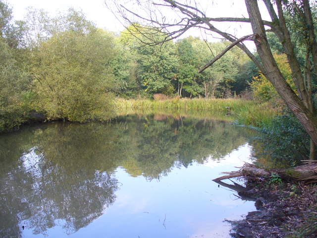 File:Reflections at Mallards Mere - geograph.org.uk - 584098.jpg