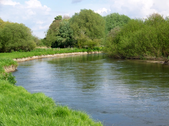 River Avon near Ibsley - geograph.org.uk - 1281474