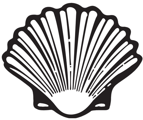 Shell | Logopedia | Fandom