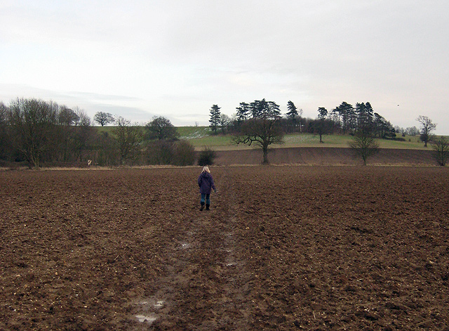 File:Stour Valley Path - geograph.org.uk - 1154478.jpg