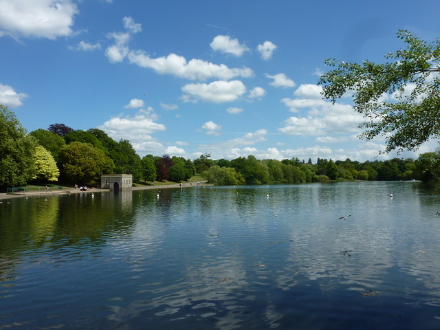 The lake at Mote Park, Maidstone - geograph.org.uk - 2403148