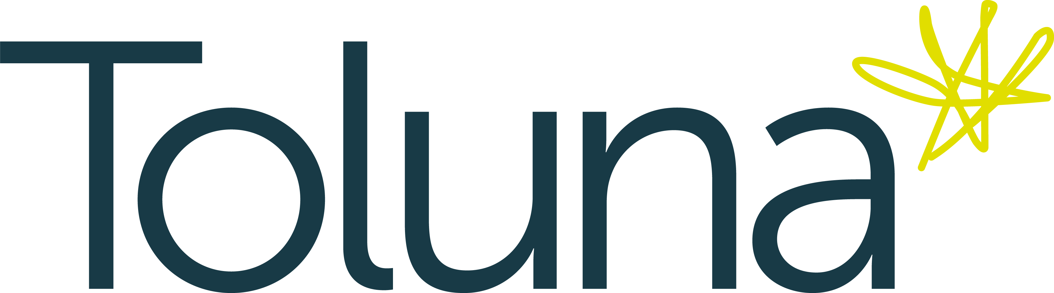 Toluna Logo