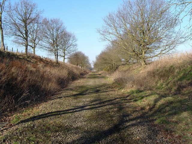 Trackbed, North Elmham - geograph.org.uk - 691022