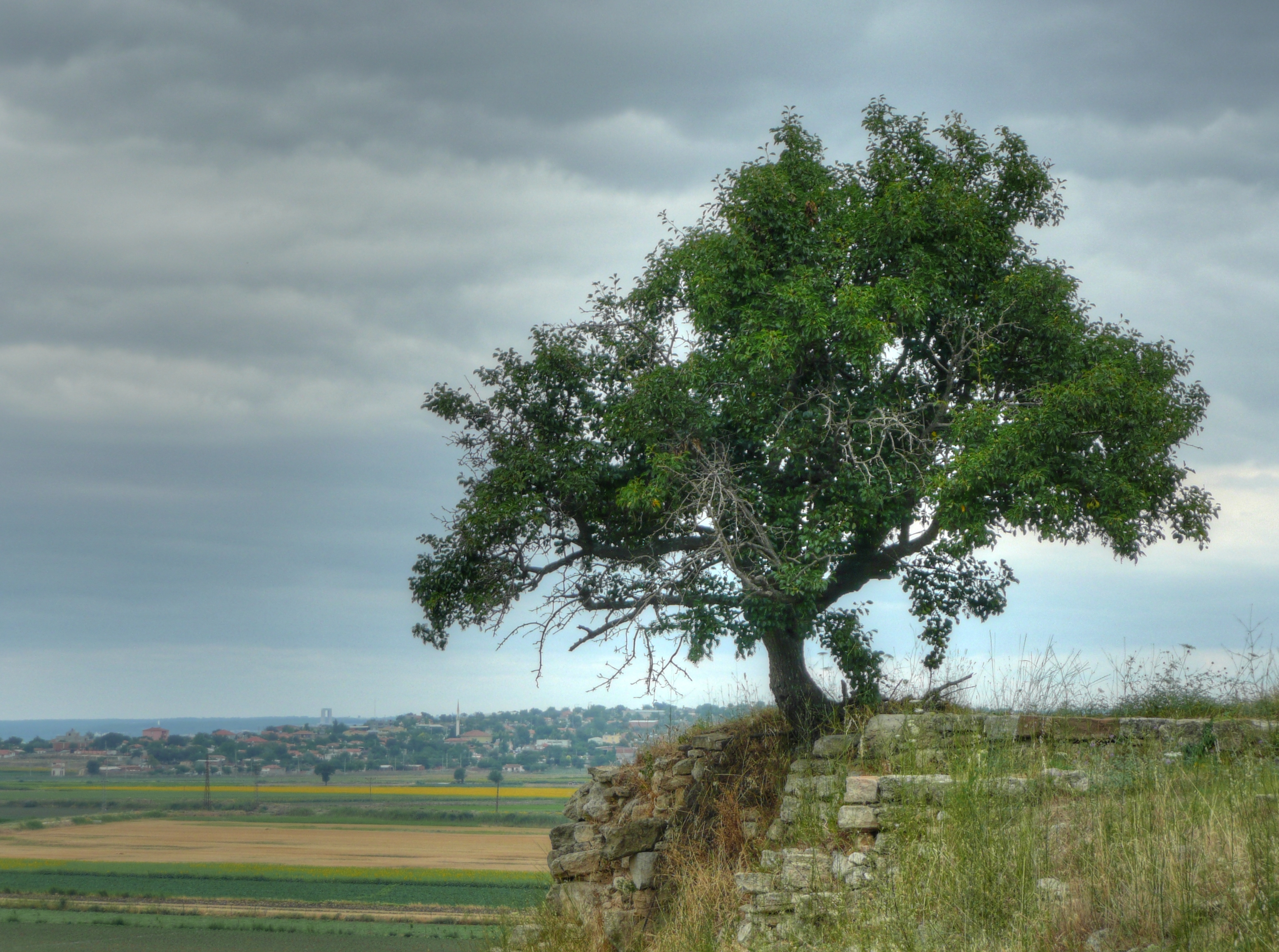 Filing tree