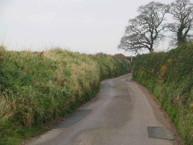 File:Winding lane near Tipton St John - geograph.org.uk - 1618867.jpg