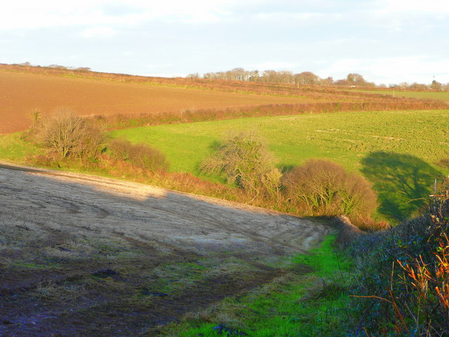 File:Zig-zag hedges - geograph.org.uk - 1079049.jpg