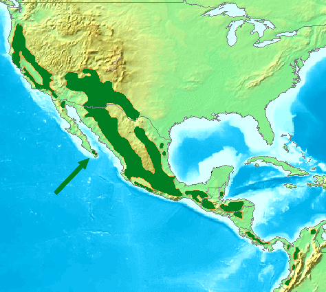 File:Acorn Woodpecker Distribution Map.png