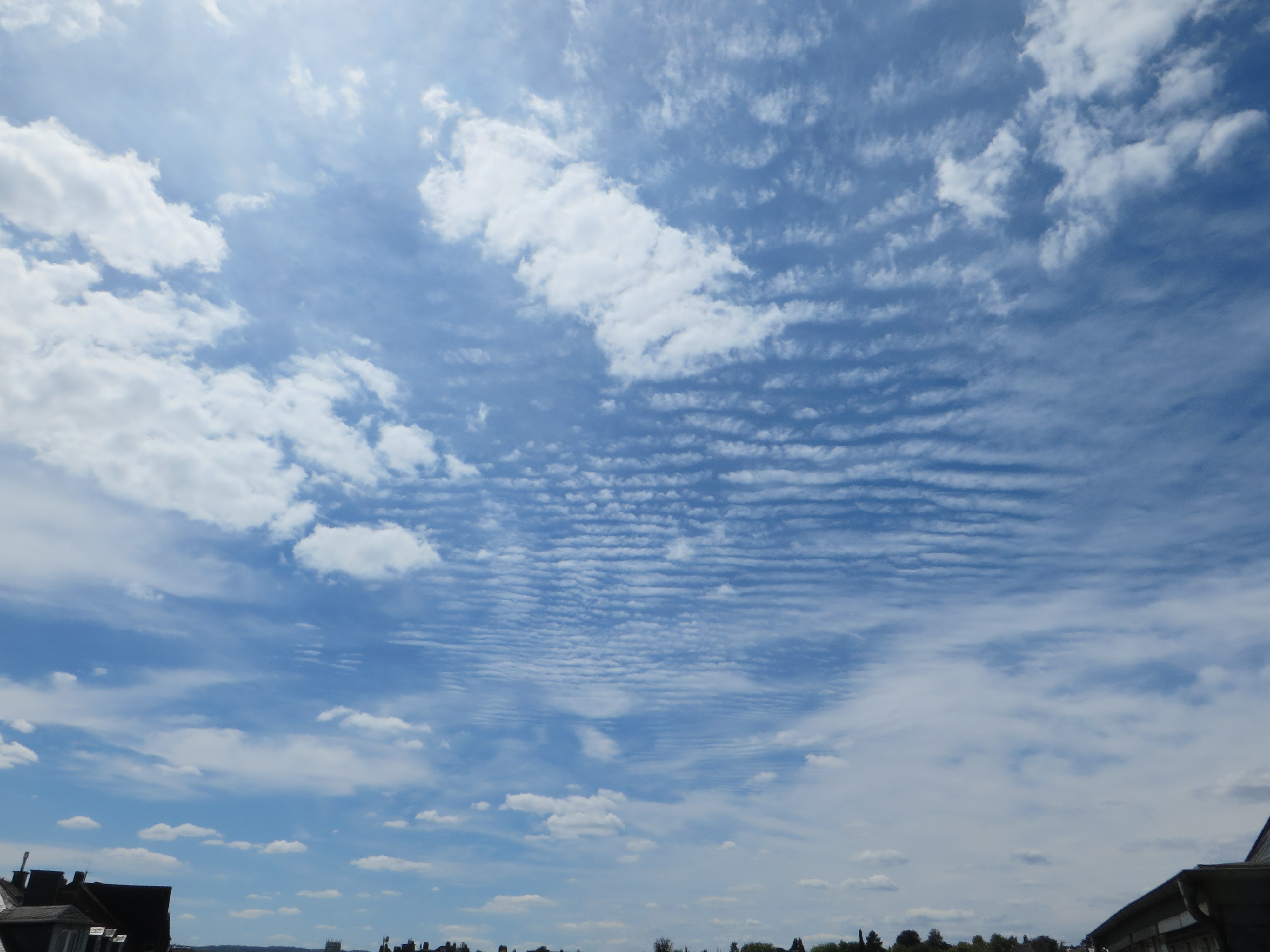 Высококучевые (altocumulus, AC). Altocumulus undulatus cloud. Перистые облака после Химтраст. Перистые облака 1990-е.