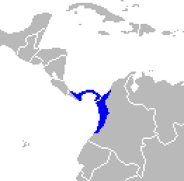 File:Aotus zonalis range map cropped.PNG