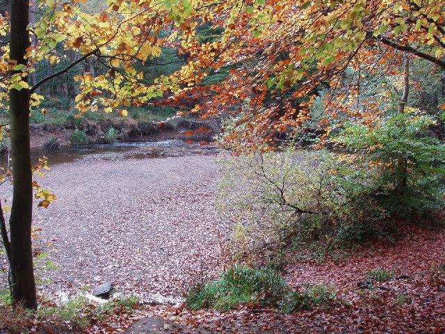 File:Bedburn Beck in autumn, Hamsterley Forest.jpg