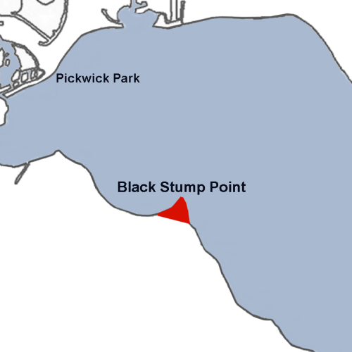 File:Black Stump Point Lake Wawasee.png