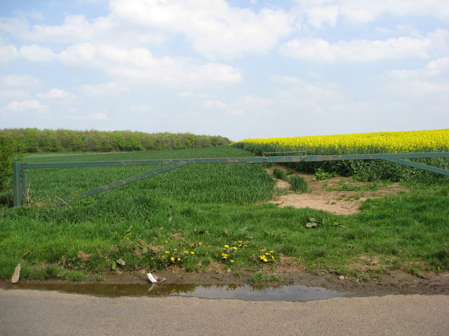 File:Bondhay Lane - View towards Whitwell Wood - geograph.org.uk - 790731.jpg