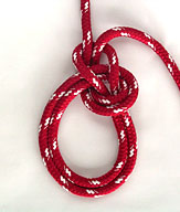 The bowline on a bight forms two fixed loops in the middle of a rope.