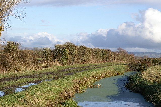 File:Bridleway and Rhyne - geograph.org.uk - 105764.jpg