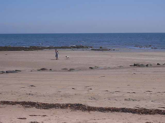 Dog walking on the beach - geograph.org.uk - 1898313