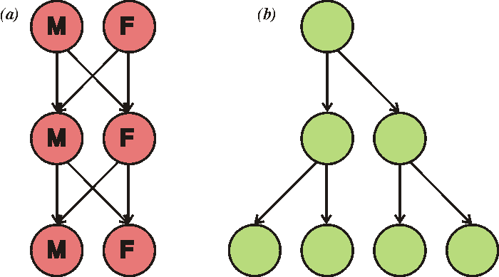 File:Evolsex-dia1a.png